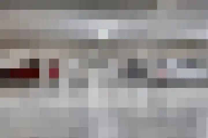 De Poort 23 Andel thumbnail 44