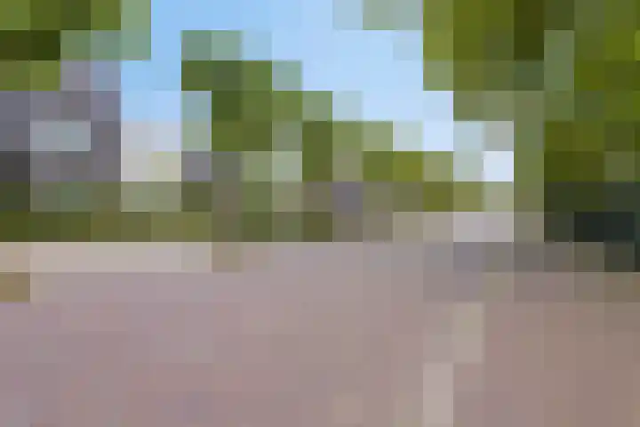 De Poort 23 Andel thumbnail 7