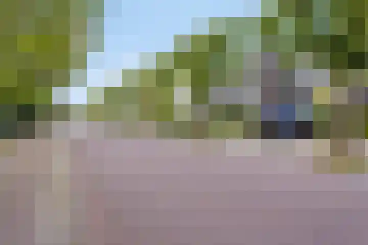 De Poort 23 Andel thumbnail 8
