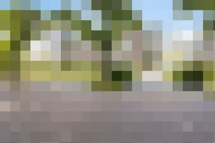 De Poort 23 Andel thumbnail 9
