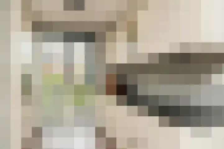 De Poort 27 Kesteren thumbnail 10