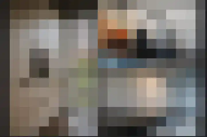 De Poort 27 Kesteren thumbnail 11