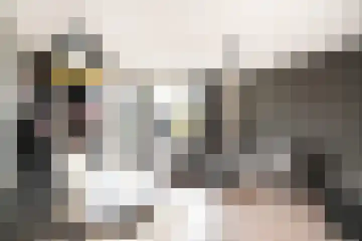 De Poort 27 Kesteren thumbnail 13