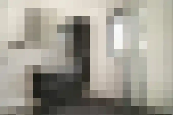 De Poort 27 Kesteren thumbnail 22