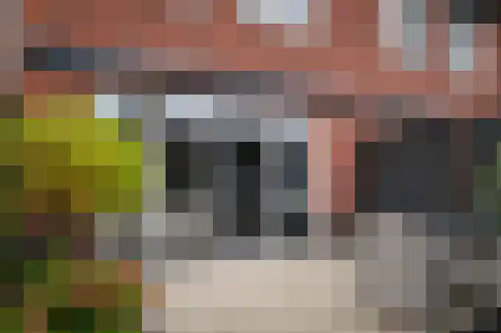 De Poort 27 Kesteren thumbnail 29