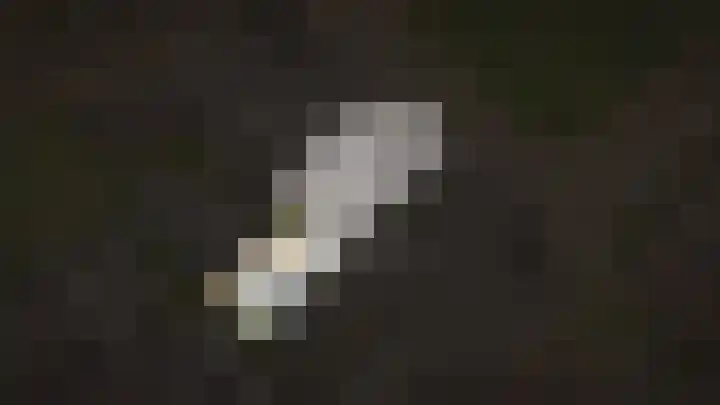 De Poort 27 Kesteren thumbnail 36