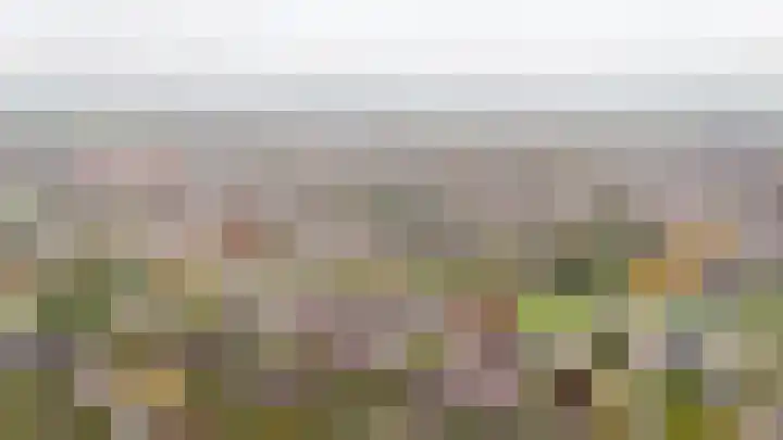 De Poort 27 Kesteren thumbnail 38