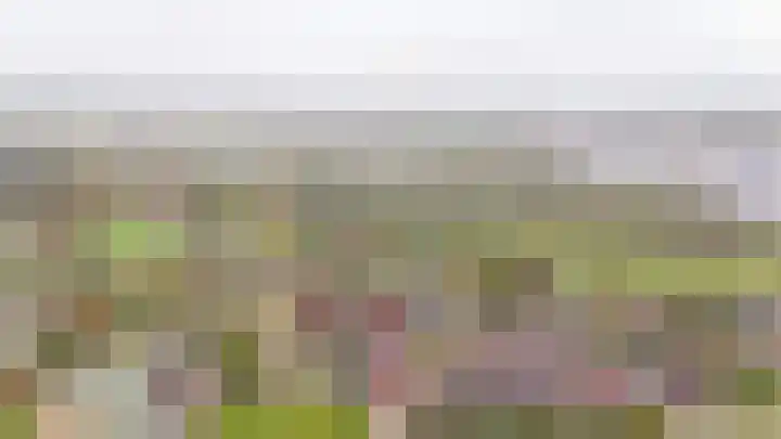 De Poort 27 Kesteren thumbnail 39