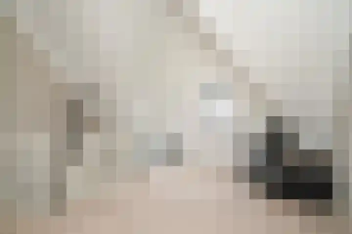 De Poort 27 Kesteren thumbnail 5