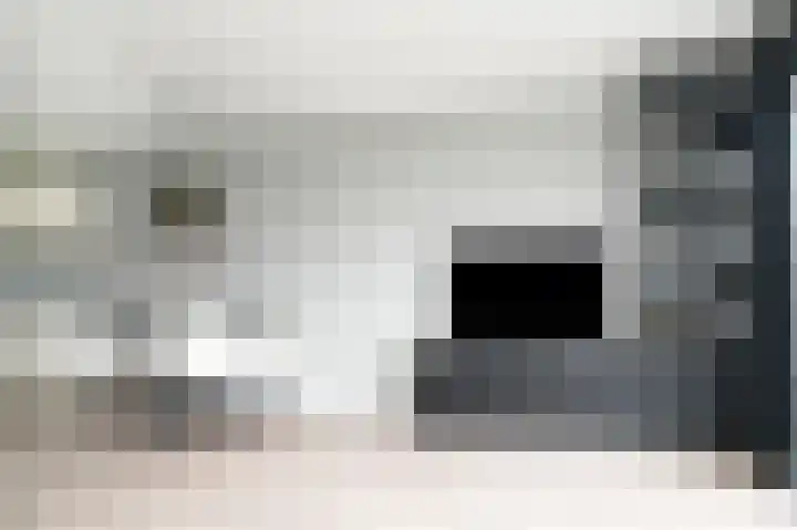De Poort 27 Kesteren thumbnail 8