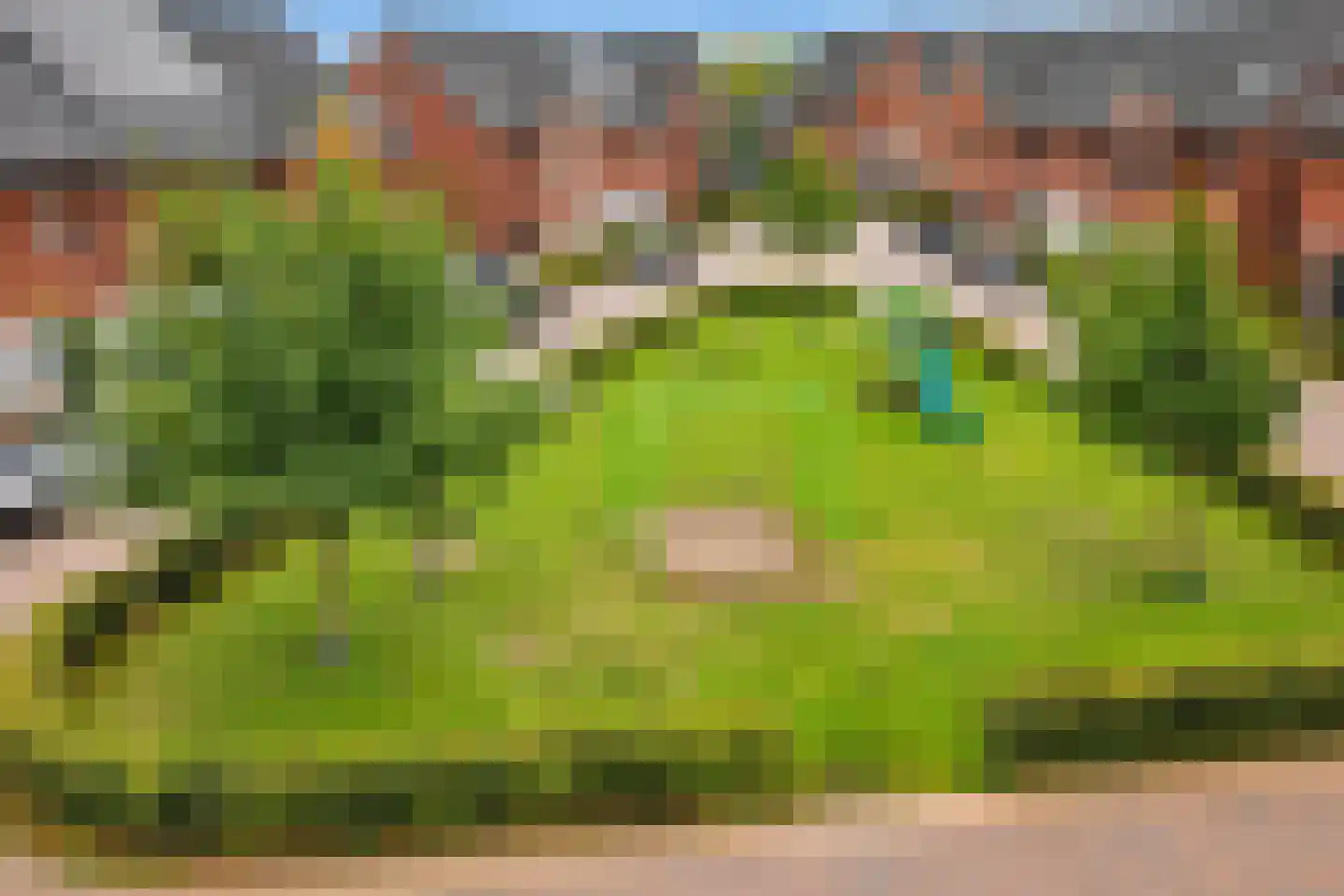 De Poort 28 Kesteren thumbnail 15