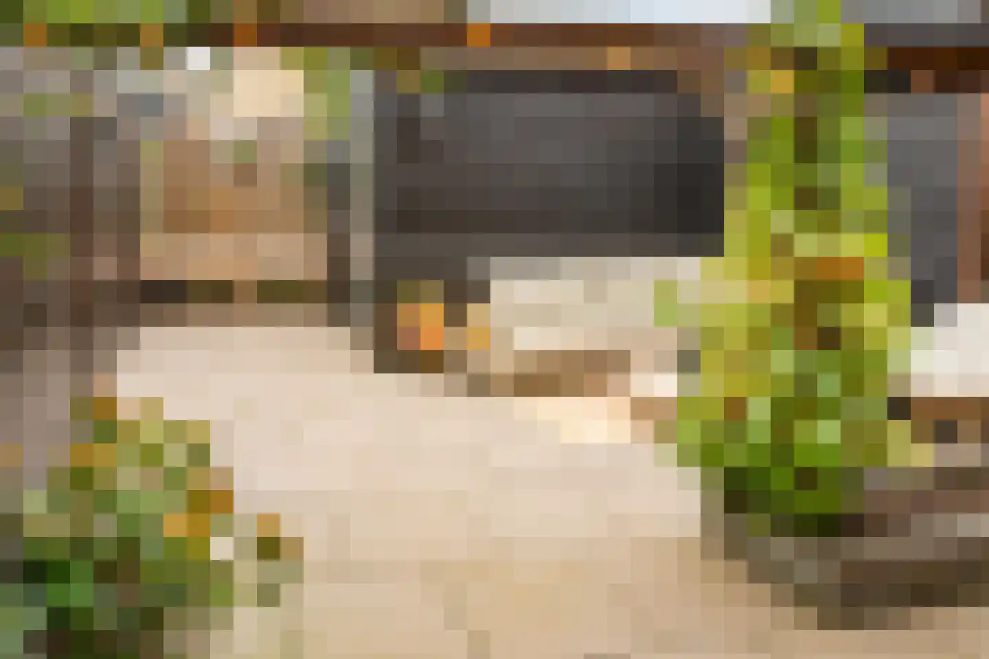 De Poort 28 Kesteren thumbnail 16