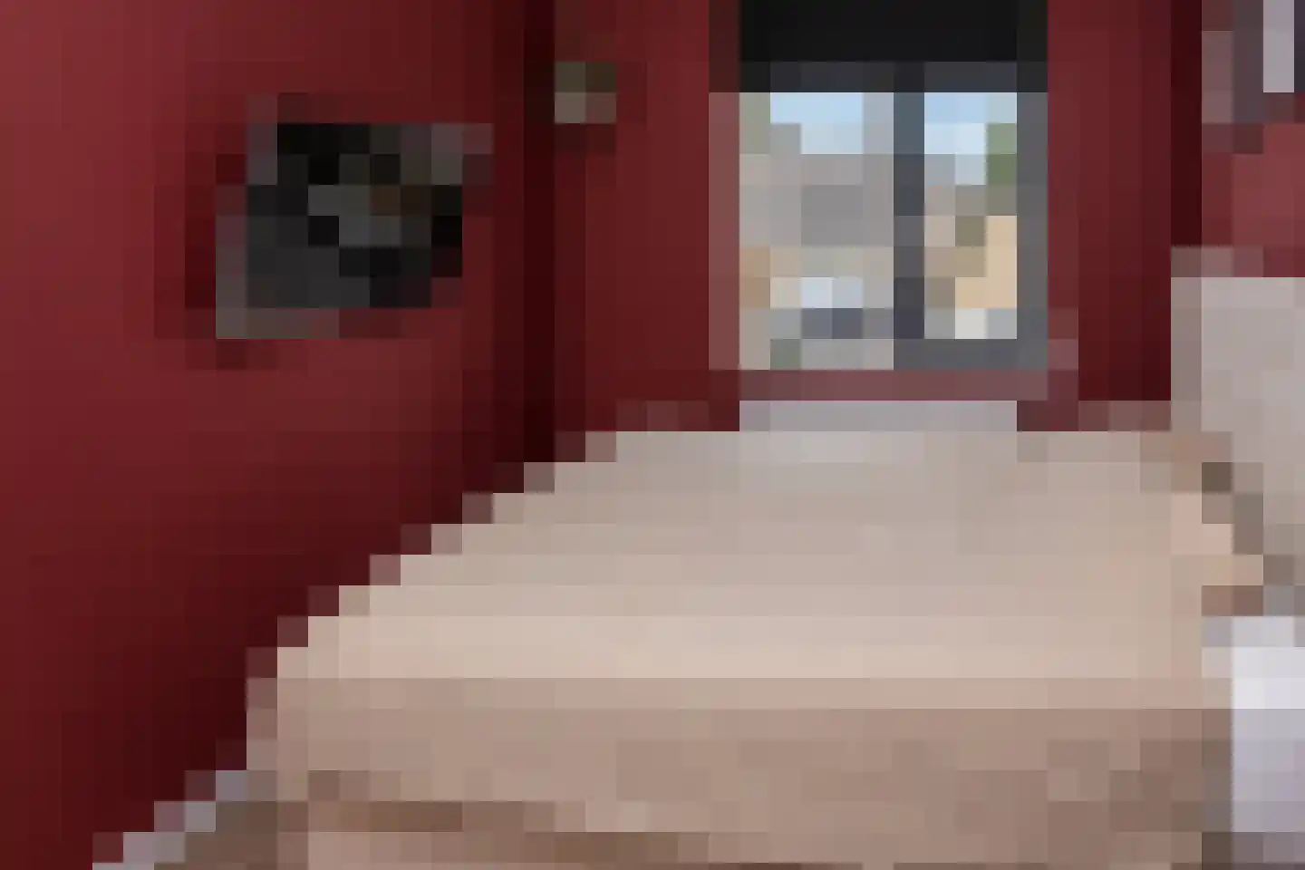 De Poort 28 Kesteren thumbnail 30