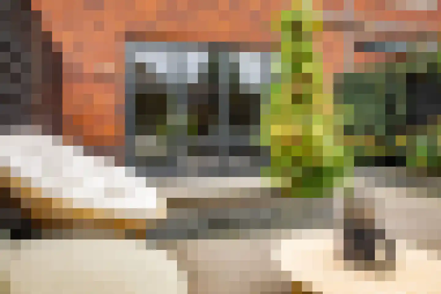 De Poort 28 Kesteren thumbnail 49