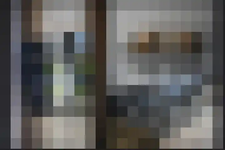 De Poort 3 Kesteren thumbnail 10