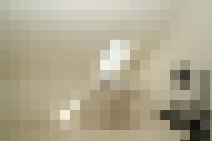 De Poort 3 Kesteren thumbnail 23