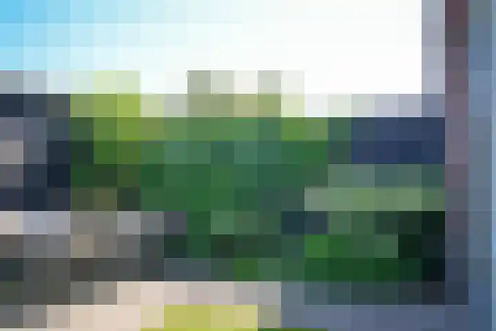 De Poort 3 Kesteren thumbnail 25