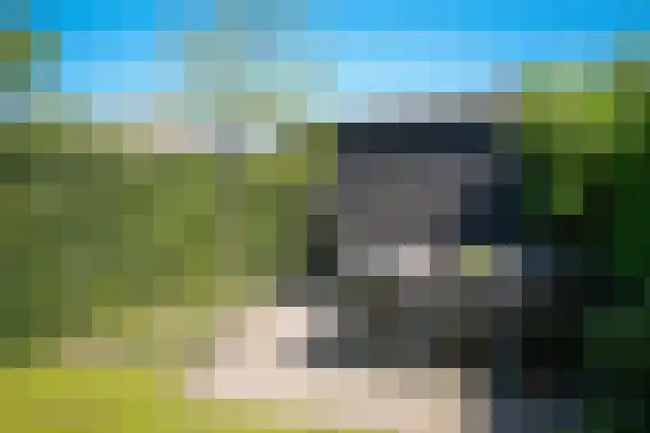 De Poort 3 Kesteren thumbnail 27