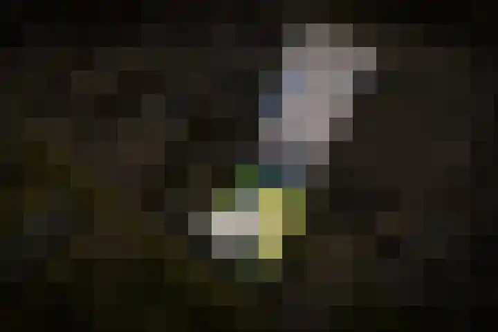 De Poort 3 Kesteren thumbnail 32
