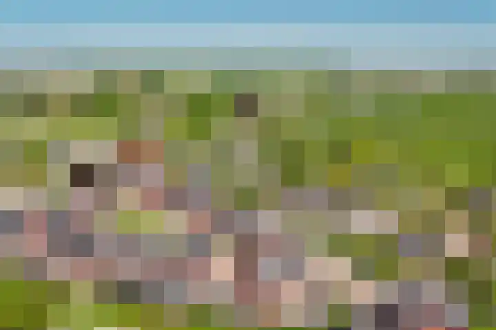 De Poort 3 Kesteren thumbnail 33
