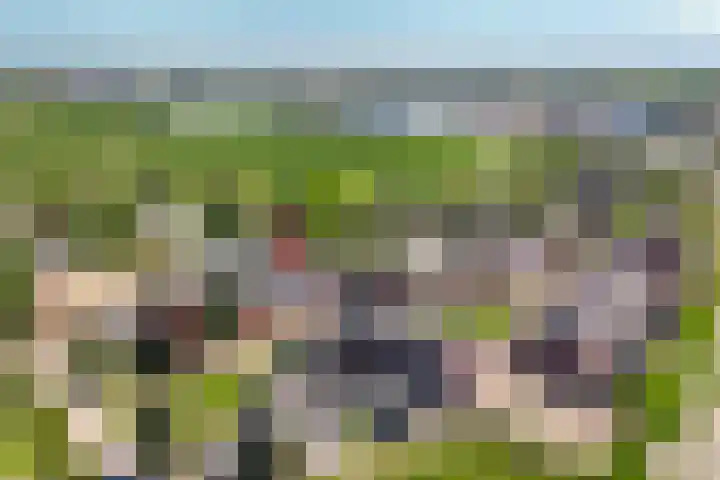 De Poort 3 Kesteren thumbnail 34