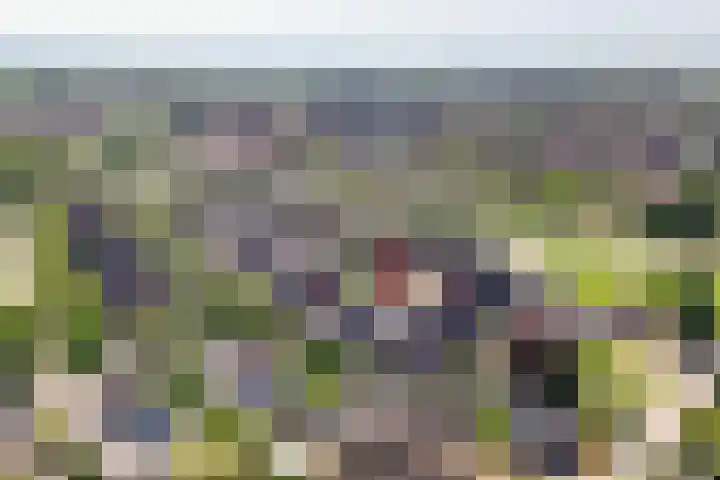 De Poort 3 Kesteren thumbnail 35