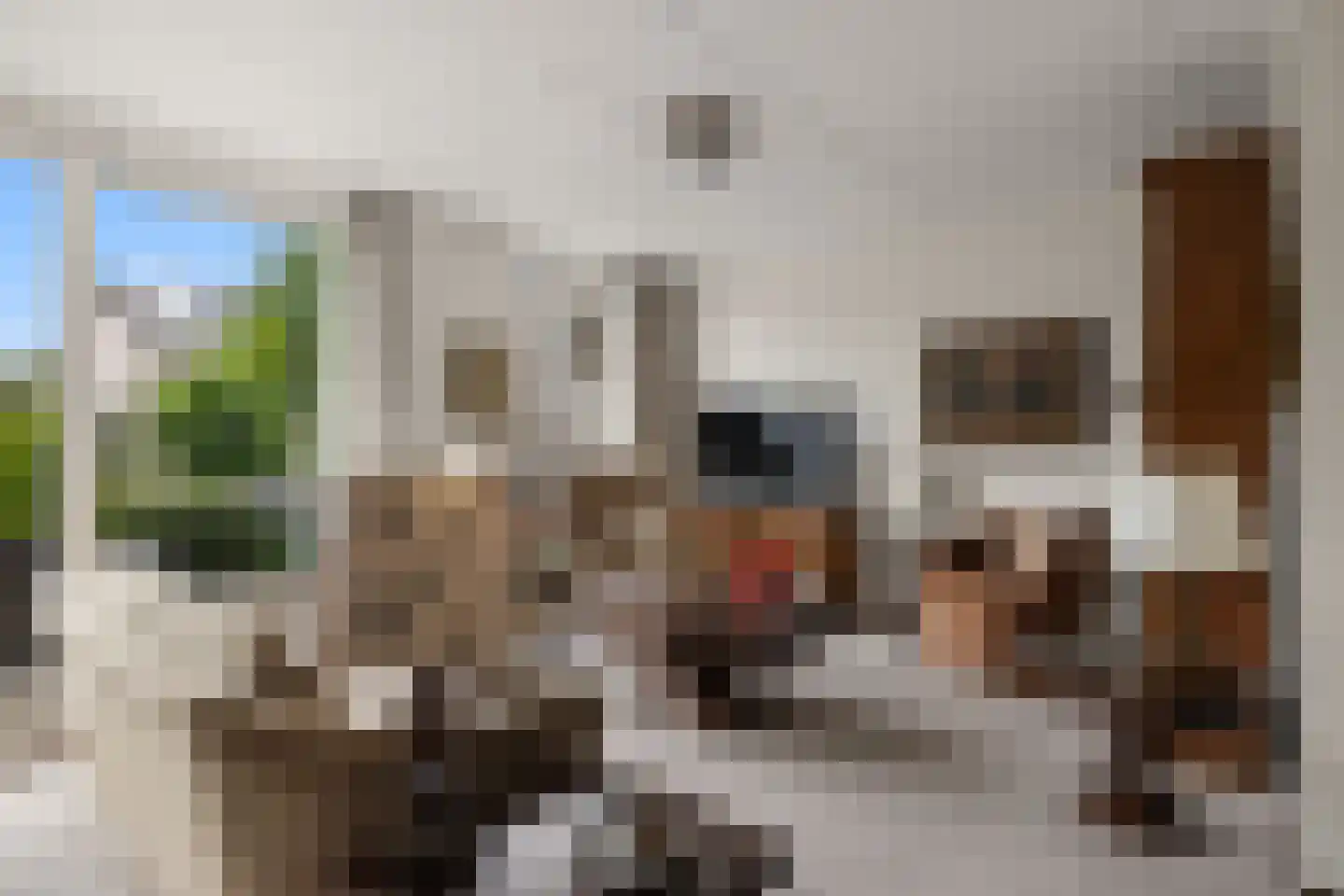 De Poort 30 Houten thumbnail 14