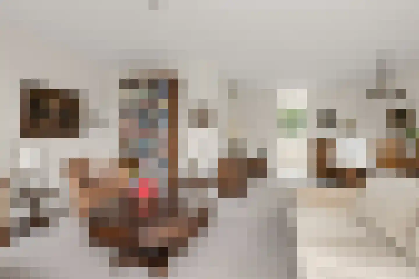 De Poort 30 Houten thumbnail 17