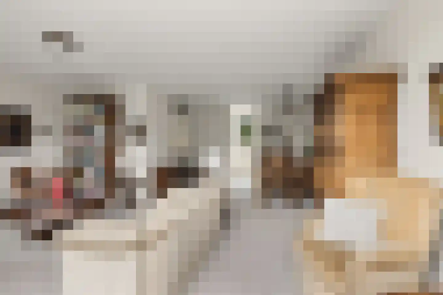 De Poort 30 Houten thumbnail 18