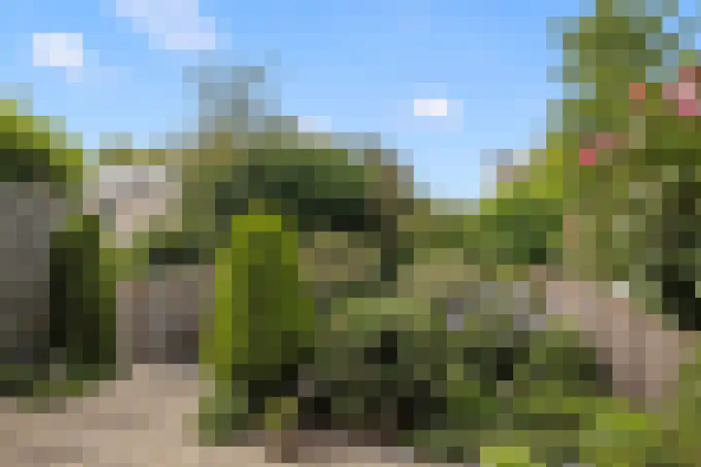 De Poort 30 Houten thumbnail 23