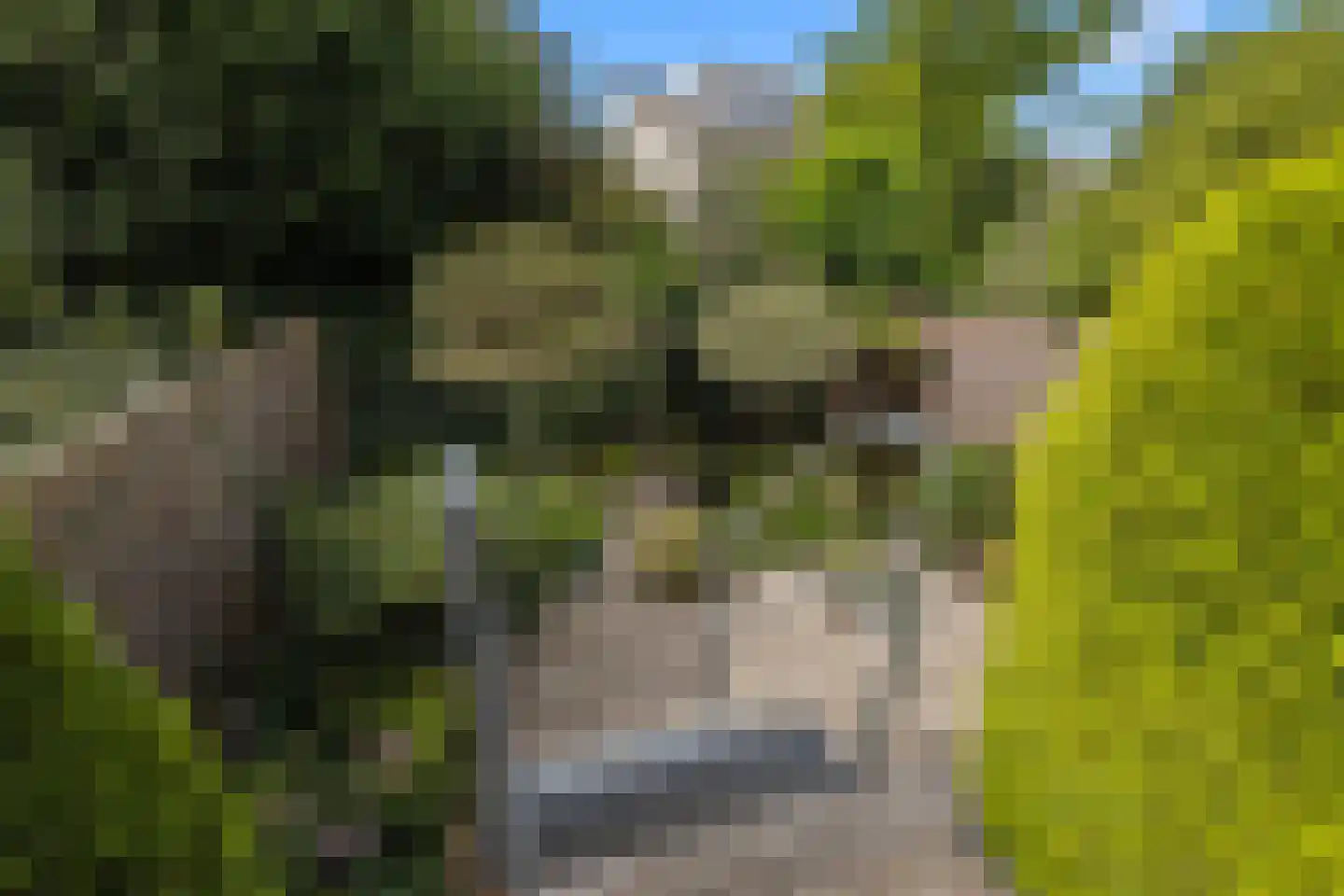 De Poort 30 Houten thumbnail 24