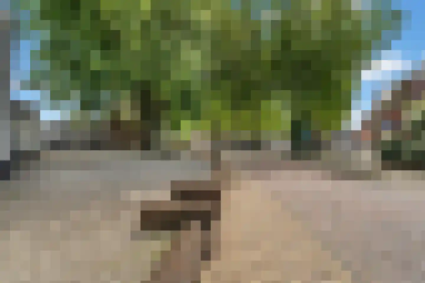 De Poort 30 Houten thumbnail 44