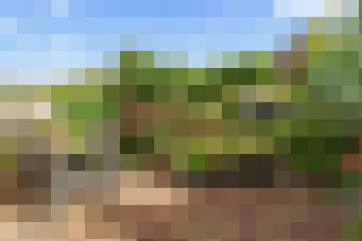De Poort 37 Houten thumbnail 12