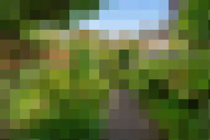 De Poort 37 Houten thumbnail 13