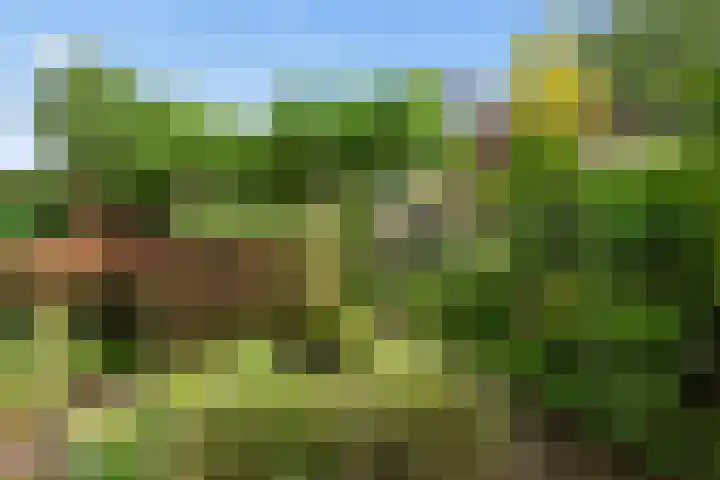De Poort 37 Houten thumbnail 14