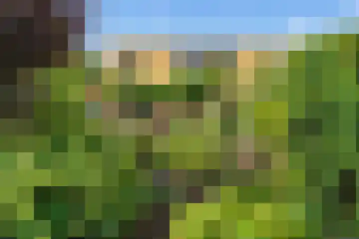 De Poort 37 Houten thumbnail 15