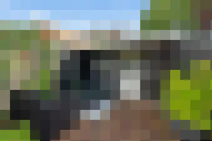 De Poort 37 Houten thumbnail 16
