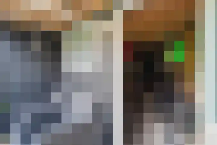 De Poort 37 Houten thumbnail 17