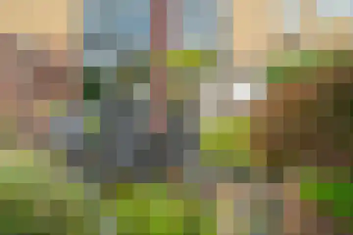 De Poort 37 Houten thumbnail 19