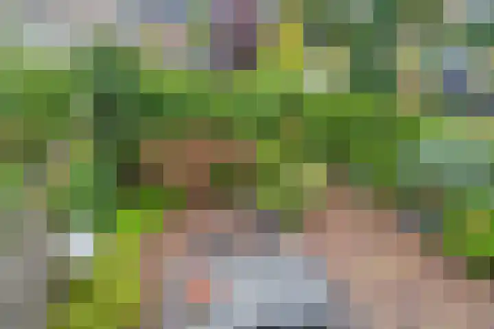 De Poort 37 Houten thumbnail 20