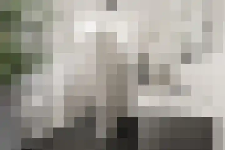 De Poort 37 Houten thumbnail 24