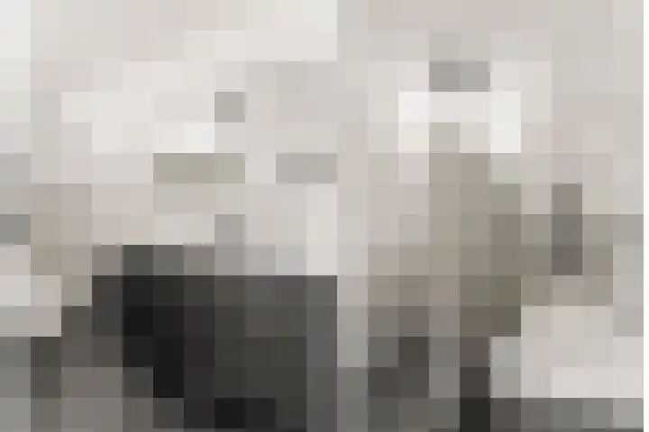 De Poort 37 Houten thumbnail 25