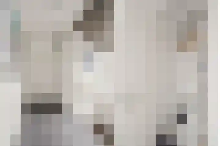 De Poort 37 Houten thumbnail 33