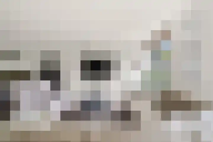 De Poort 37 Houten thumbnail 6