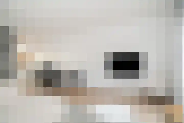 De Poort 4 Kesteren thumbnail 12