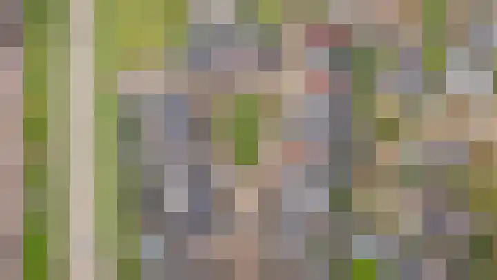 De Poort 4 Kesteren thumbnail 51