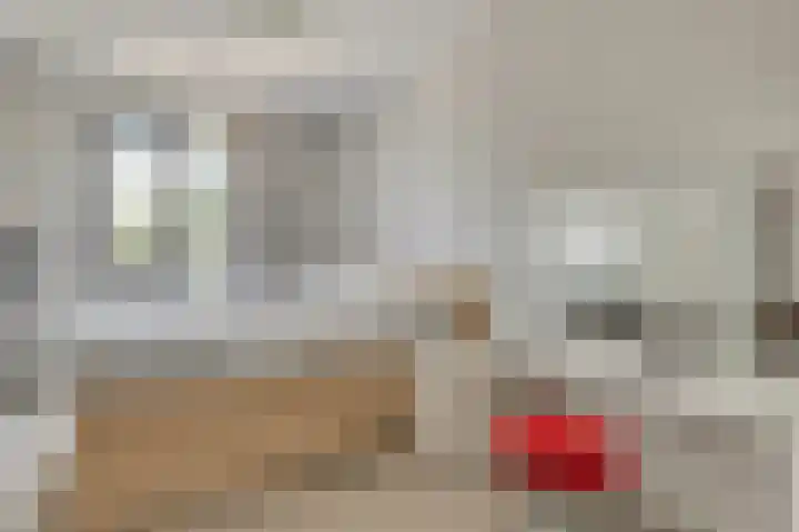 De Poort 6 Kesteren thumbnail 16