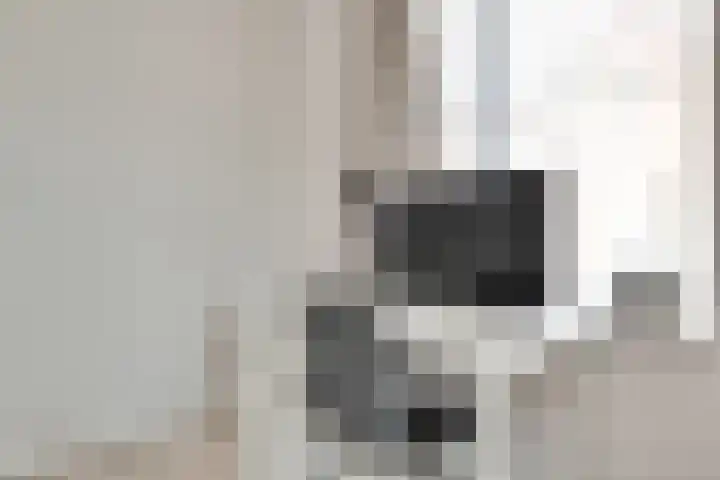 De Poort 6 Kesteren thumbnail 20