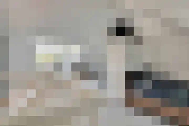 De Poort 6 Kesteren thumbnail 23
