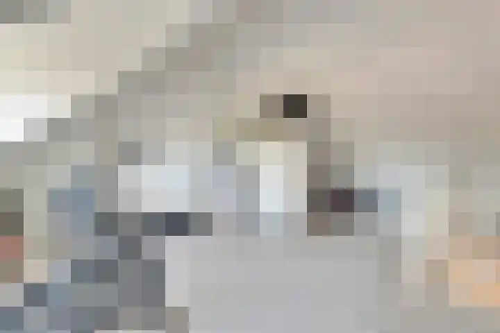 De Poort 6 Kesteren thumbnail 24